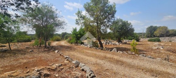 2-salle Maison à Martina Franca, Italy No. 315734 21