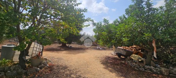 2-salle Maison à Martina Franca, Italy No. 315734 4