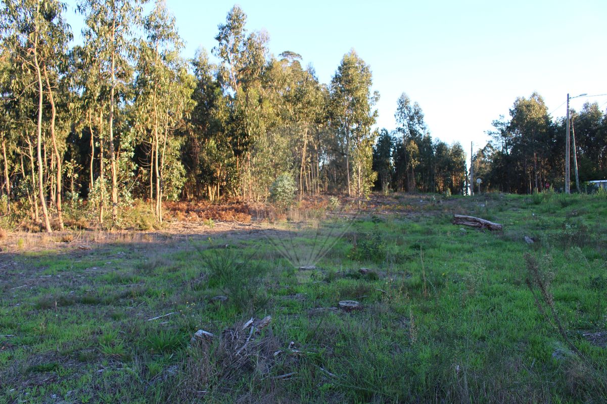 5604m² Land in Arazede, Portugal No. 92011