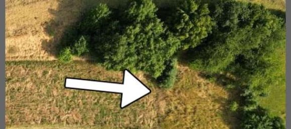 Land in Schwalm-Eder, Germany No. 133962 5