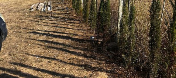  Land in Algaida, Spain No. 162544 8