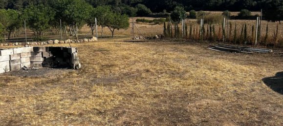  Land in Algaida, Spain No. 162544 10