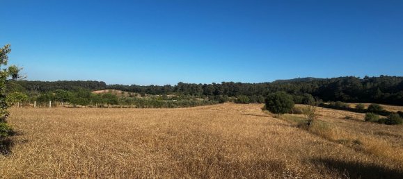  Land in Algaida, Spain No. 162544 18