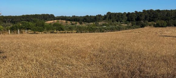  Land in Algaida, Spain No. 162544 19