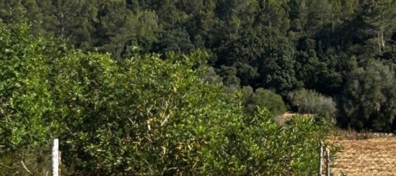  Land in Algaida, Spain No. 162544 13