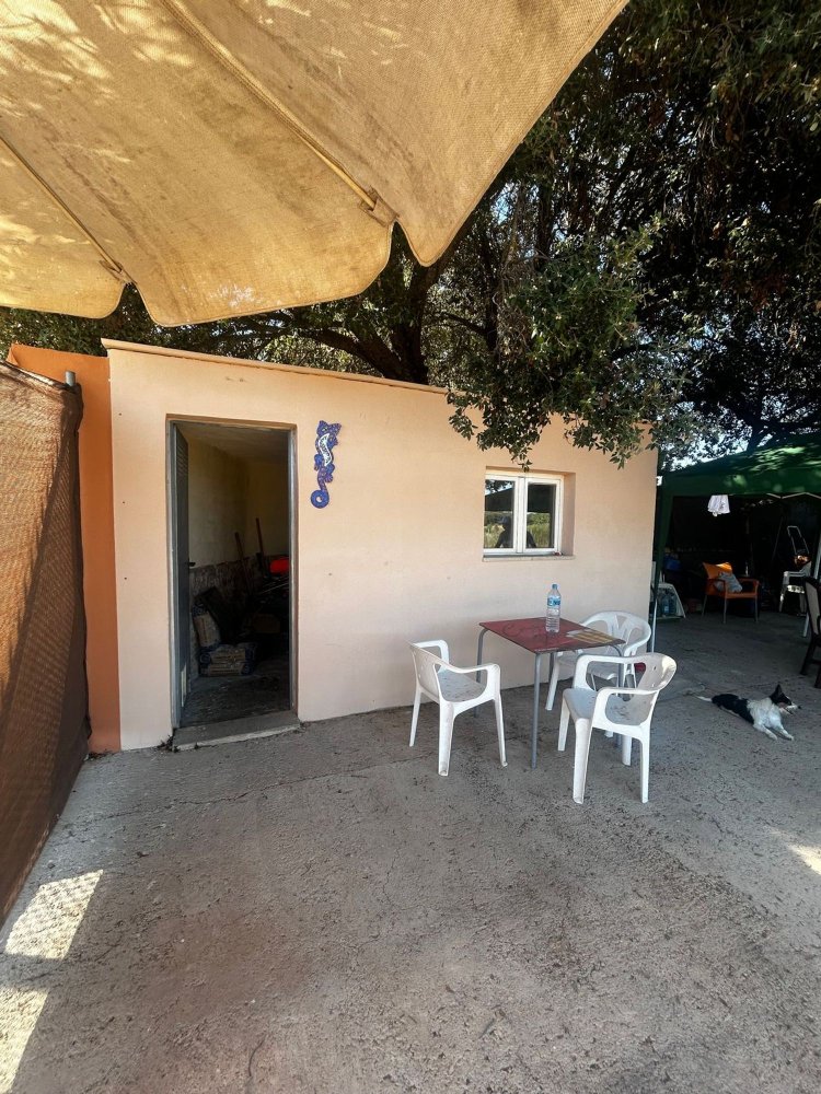  Land in Algaida, Spain No. 162544