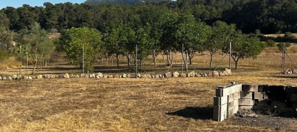  Land in Algaida, Spain No. 162544 9