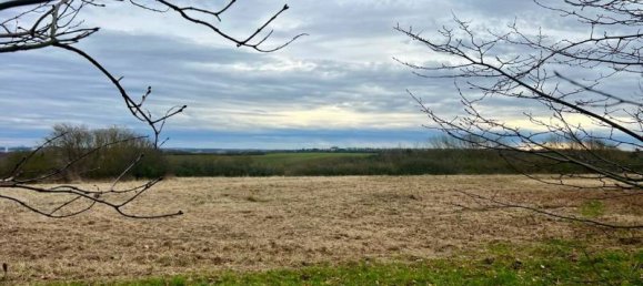 3 bedrooms House in Neubrandenburg, Germany No. 116489 2