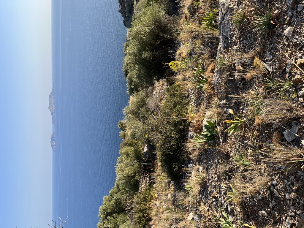 4100 m² terreno en venta en Rethymno, Crete, Greece № 100048