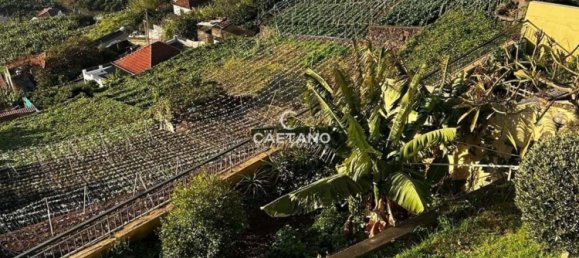 3 Schlafzimmer Stadthaus in Camara de Lobos, Portugal, Nr. 112905 2