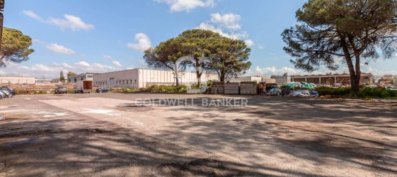 Almacén en Aprilia, Italy 1432 m² No. 284365 15