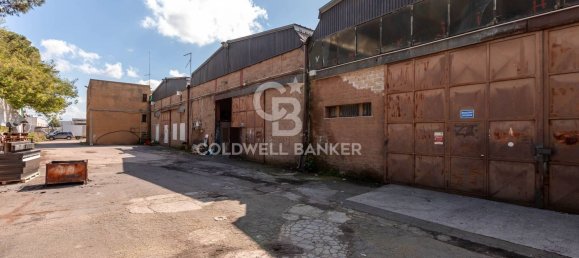 Almacén en Aprilia, Italy 1432 m² No. 284365 16