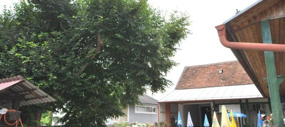 5 bedrooms House in Hannersdorf, Austria No. 169289 4