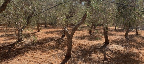 1865m² Land in Monopoli, Italy No. 157524 3