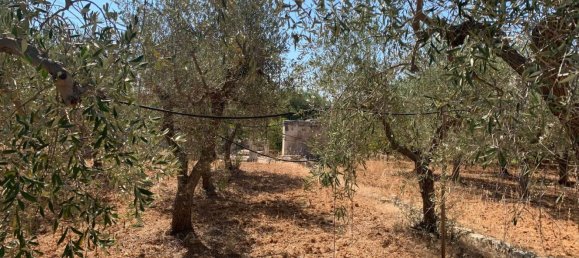1865m² Land in Monopoli, Italy No. 157524 2
