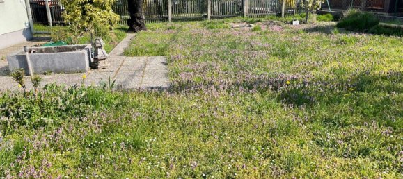 Grundstück in Wien, Austria, Nr. 85668 6