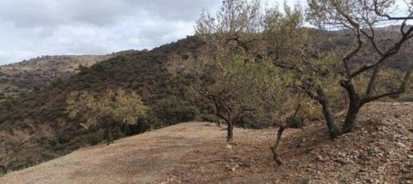 8777m² Land in Malaga, Spain No. 165586 2