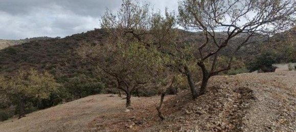 8777m² Land in Malaga, Spain No. 165586 10