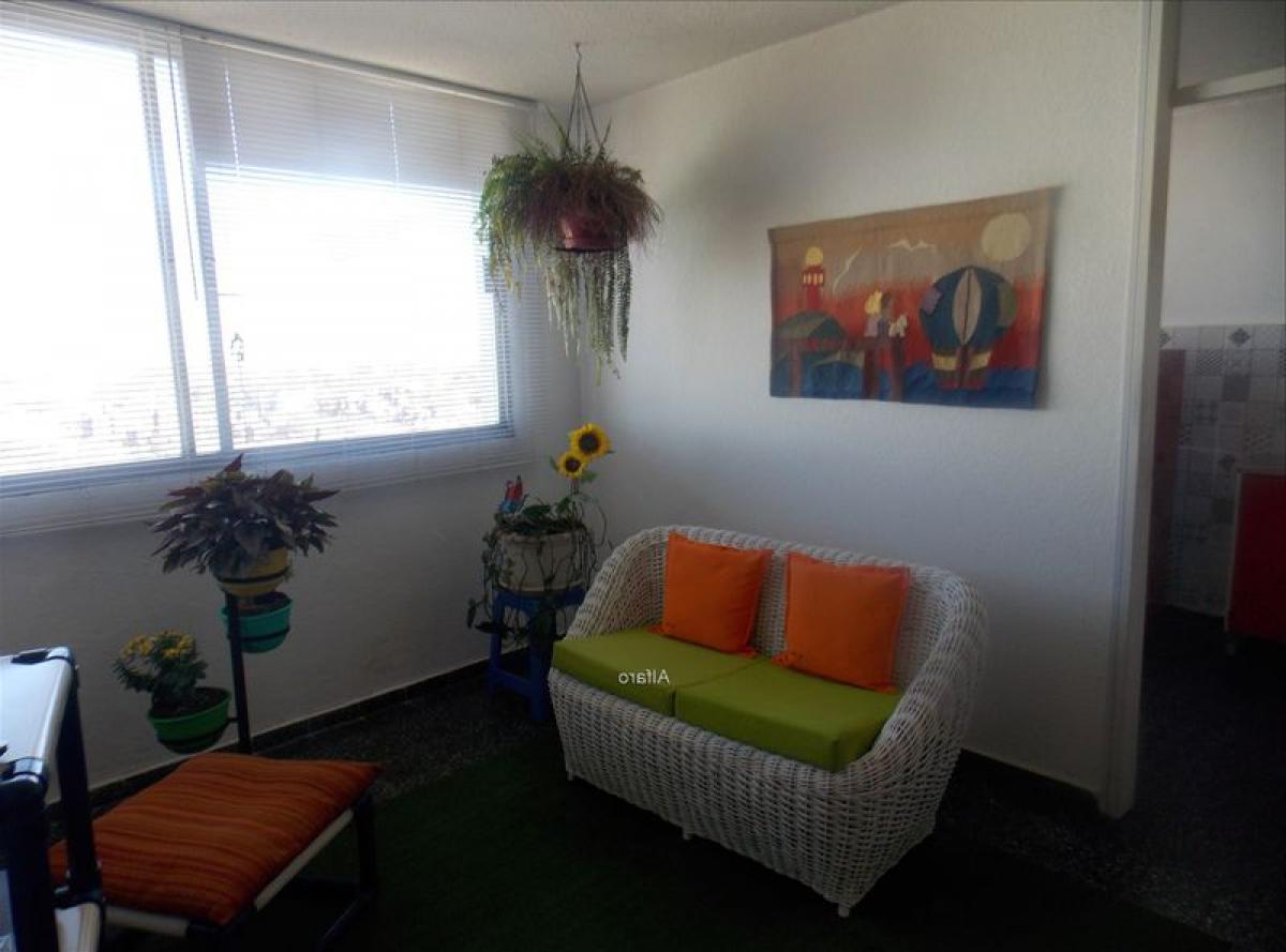 2 غرف نوم شقة في Montevideo, Uruguay رقم 10553