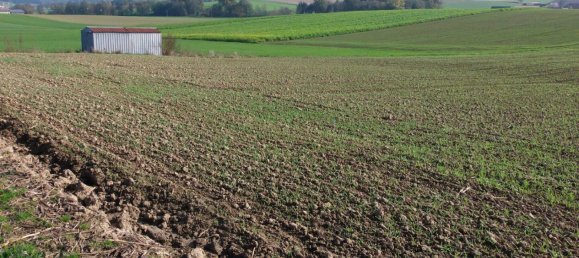  قطعة أرض في Heiligenberg, Austria رقم 128191 3