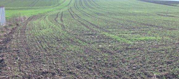  قطعة أرض في Heiligenberg, Austria رقم 128191 2