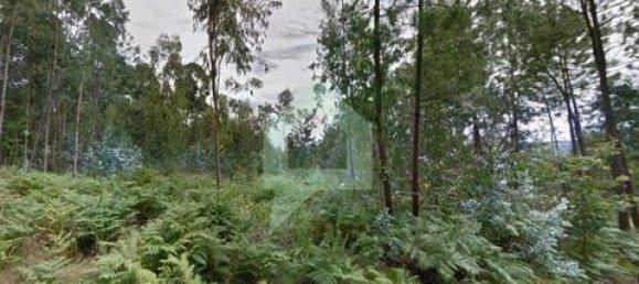  قطعة أرض في Guimaraes, Portugal رقم 149170 2