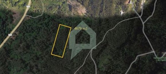  قطعة أرض في Guimaraes, Portugal رقم 149170 4