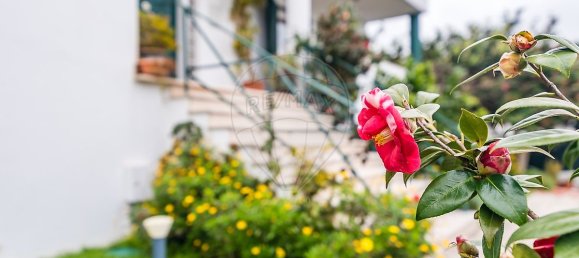 6 bedrooms House in Sintra, Portugal No. 54566 16