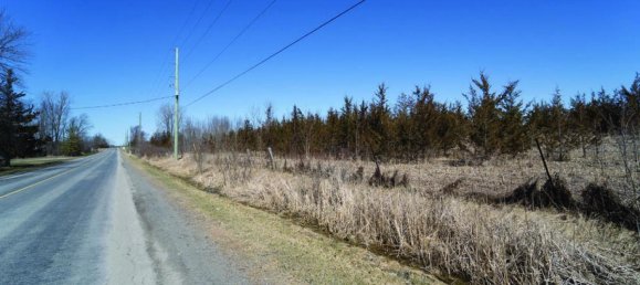  قطعة أرض في Belleville, Canada رقم 1437 2