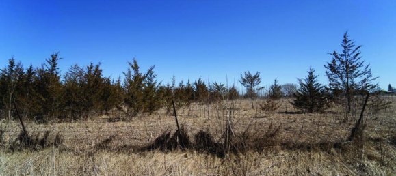  قطعة أرض في Belleville, Canada رقم 1437 3