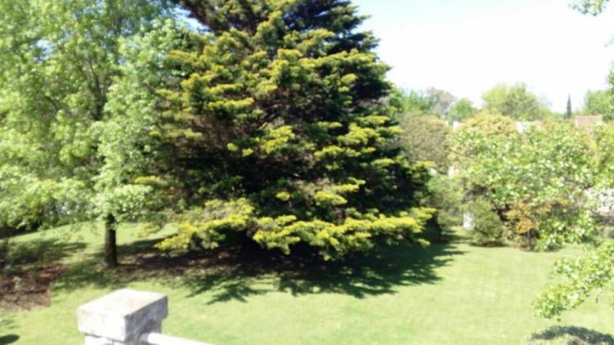  Land in Pilar, Argentina No. 115540