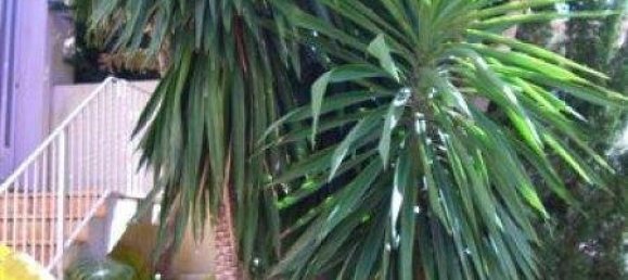 5 غرف نوم فيلا في Altea, Spain رقم 1547 9