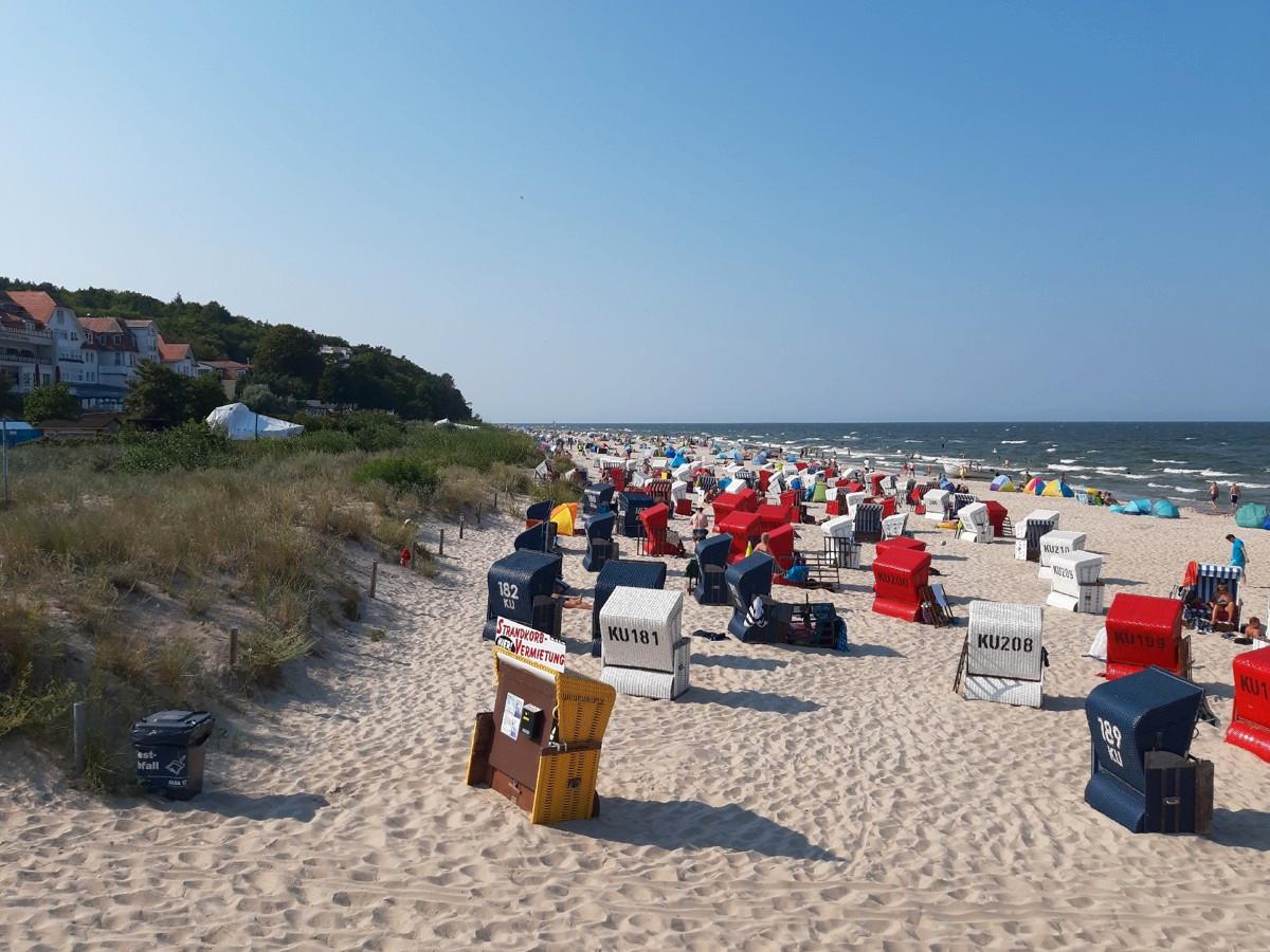 Terrain à Vorpommern-Greifswald, Germany No. 308766