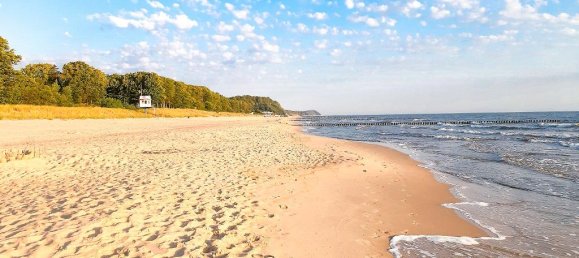 Terrain à Vorpommern-Greifswald, Germany No. 308766 3