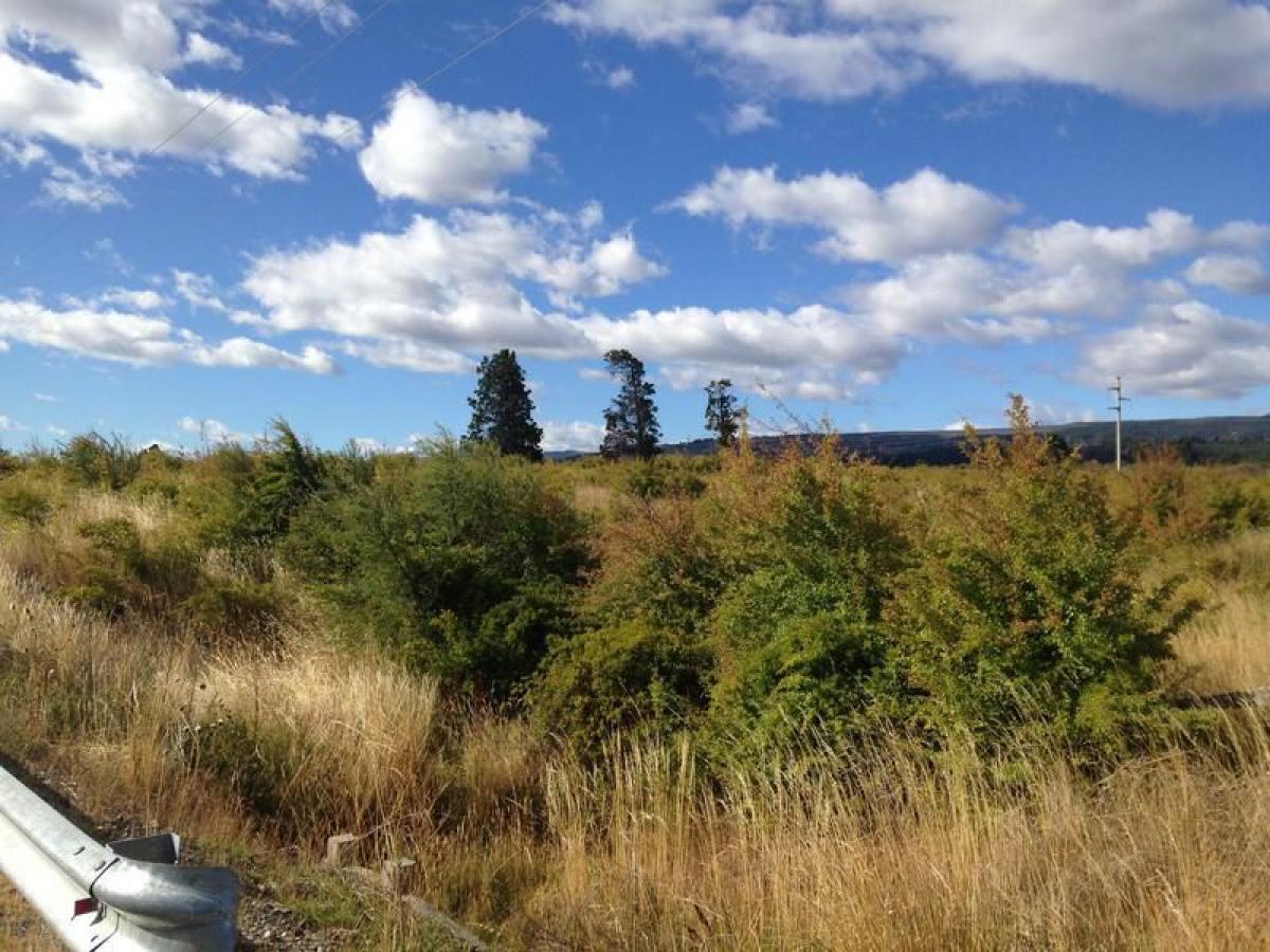  Land in Chubut, Argentina No. 32564