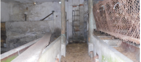 10 rooms Farm in Stendal, Germany No. 239455 17