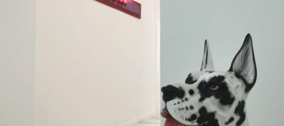 6 rooms Apartment in Livorno, Italy No. 228701 22