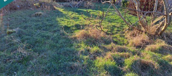  Land in Bollezeele, France No. 76739 2