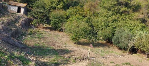 3 bedrooms Villa in Villanova d'Albenga, Italy No. 344319 14