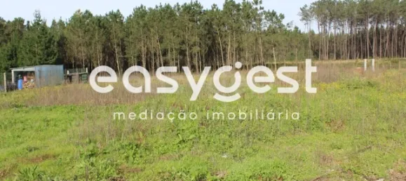 Дом с 7 спальнями в Лейрия, Португалия № 152712 31