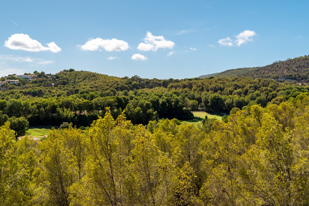 4 bedrooms Villa in Mallorca, Spain No. 212947