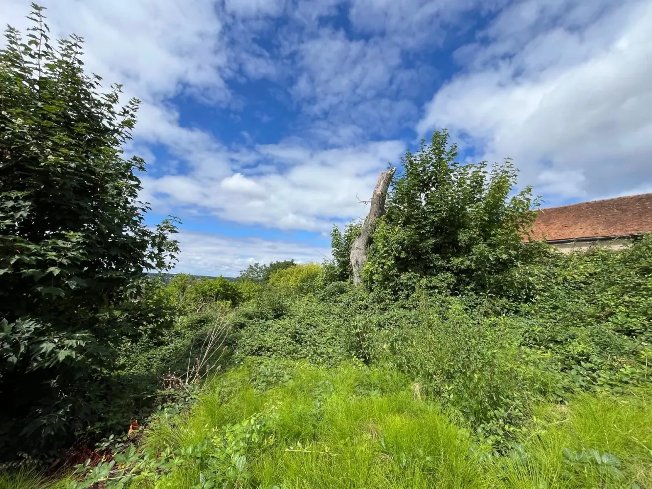 2282m² Land in Abrest, France No. 344903