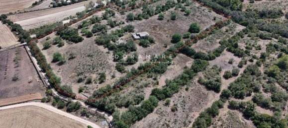  Land in Manacor, Spain No. 168041 15