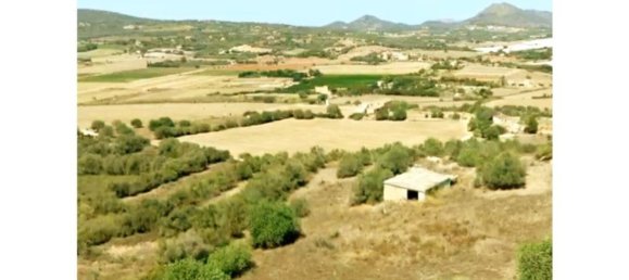  Land in Manacor, Spain No. 168041 6