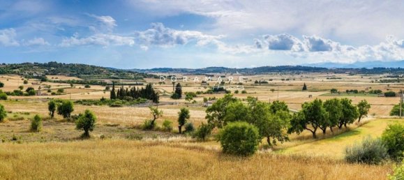  Land in Manacor, Spain No. 168041 18