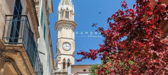  Land in Manacor, Spain No. 168041 16