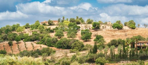  Land in Manacor, Spain No. 168041 19