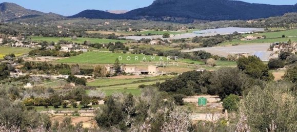  Land in Manacor, Spain No. 168041 14