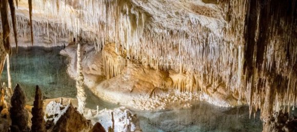  Land in Manacor, Spain No. 168041 17