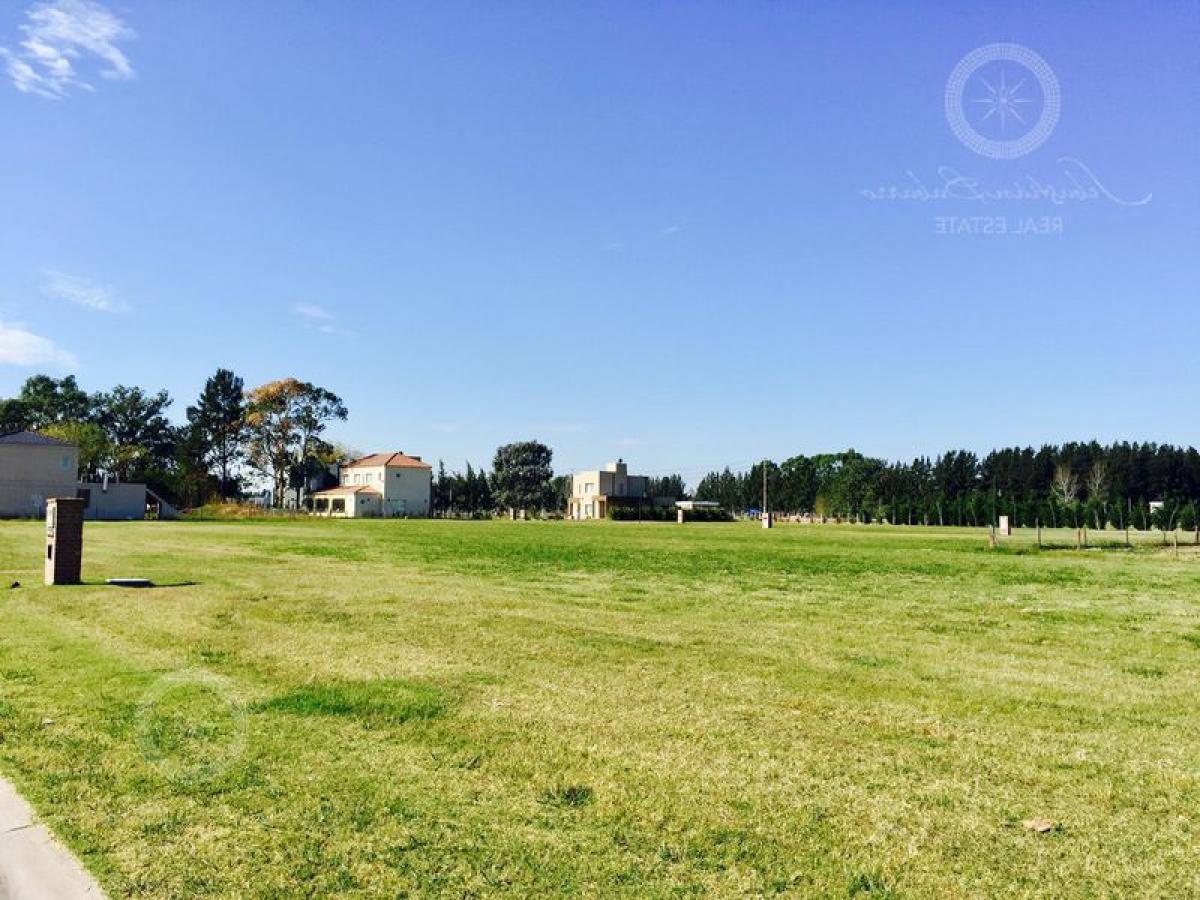  Land in Esteban Echeverria, Argentina No. 39527